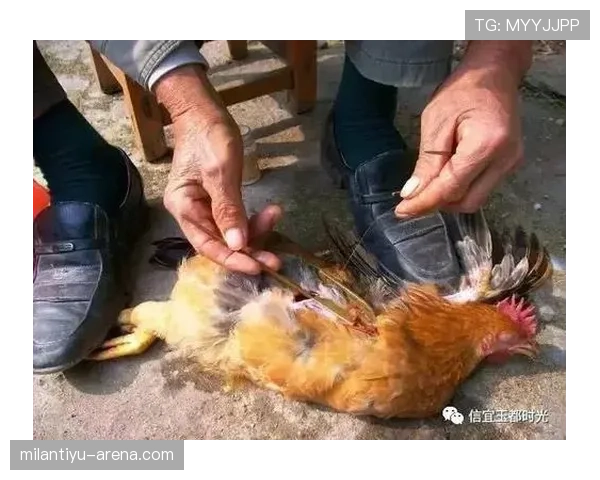 界外球怎么判？手的位置、脚踩线这些细节你真的懂吗？
