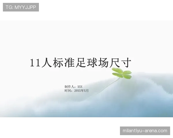 足球球门尺寸规定及其对比赛判罚的影响解析